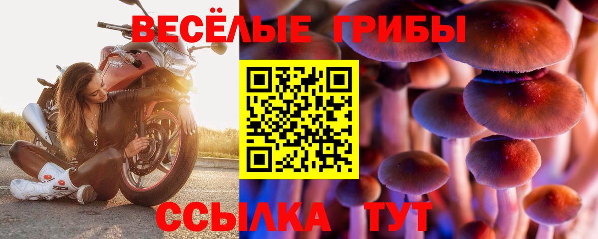 Галлюциногенные грибы прущие грибы  Вход с VPN  Солнечногорск 